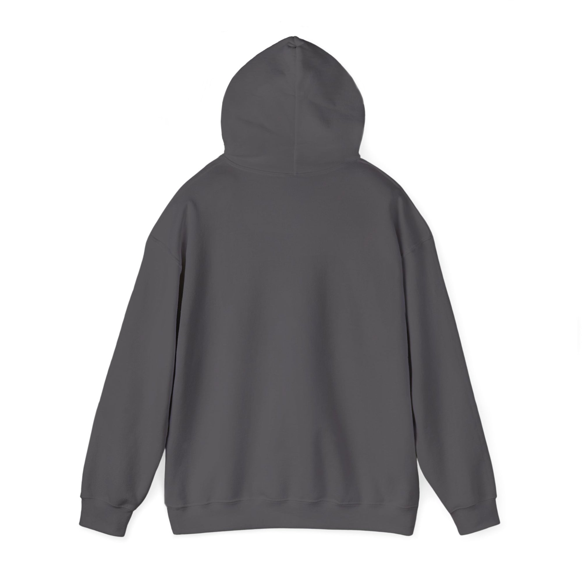 Classic Bully Hooded Sweatshirt