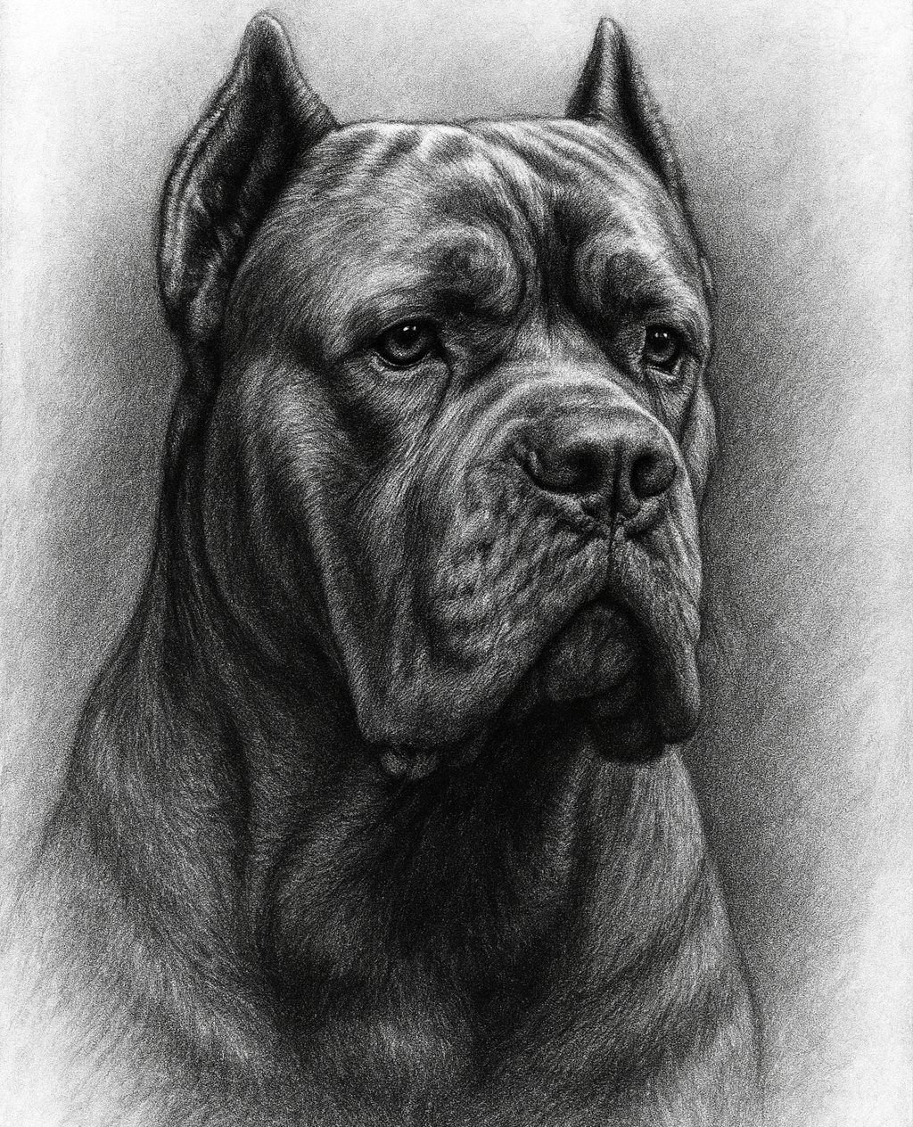 Custom Charcoal Style Pet Portrait – Digital Dog Art from Your Photo