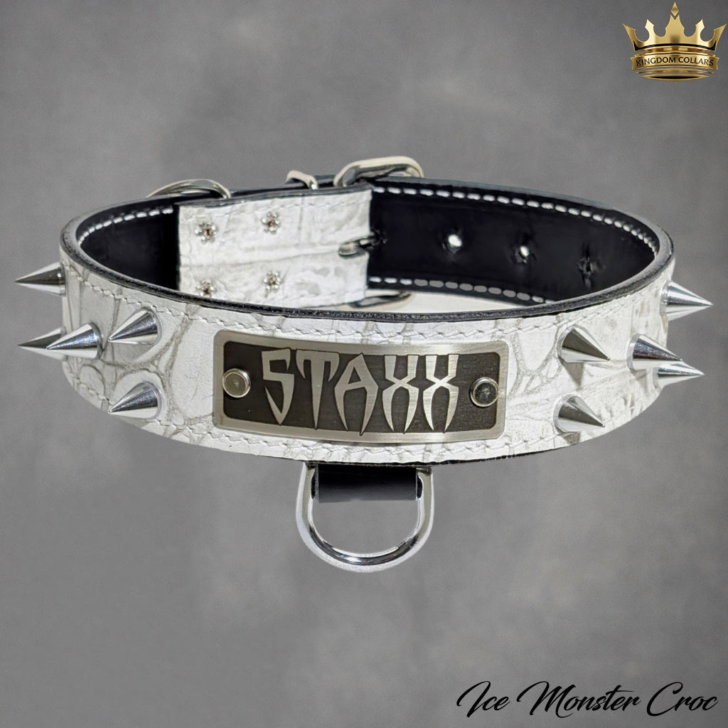 Leather dog collar with spikes and 'STAXX' branding on a gray background