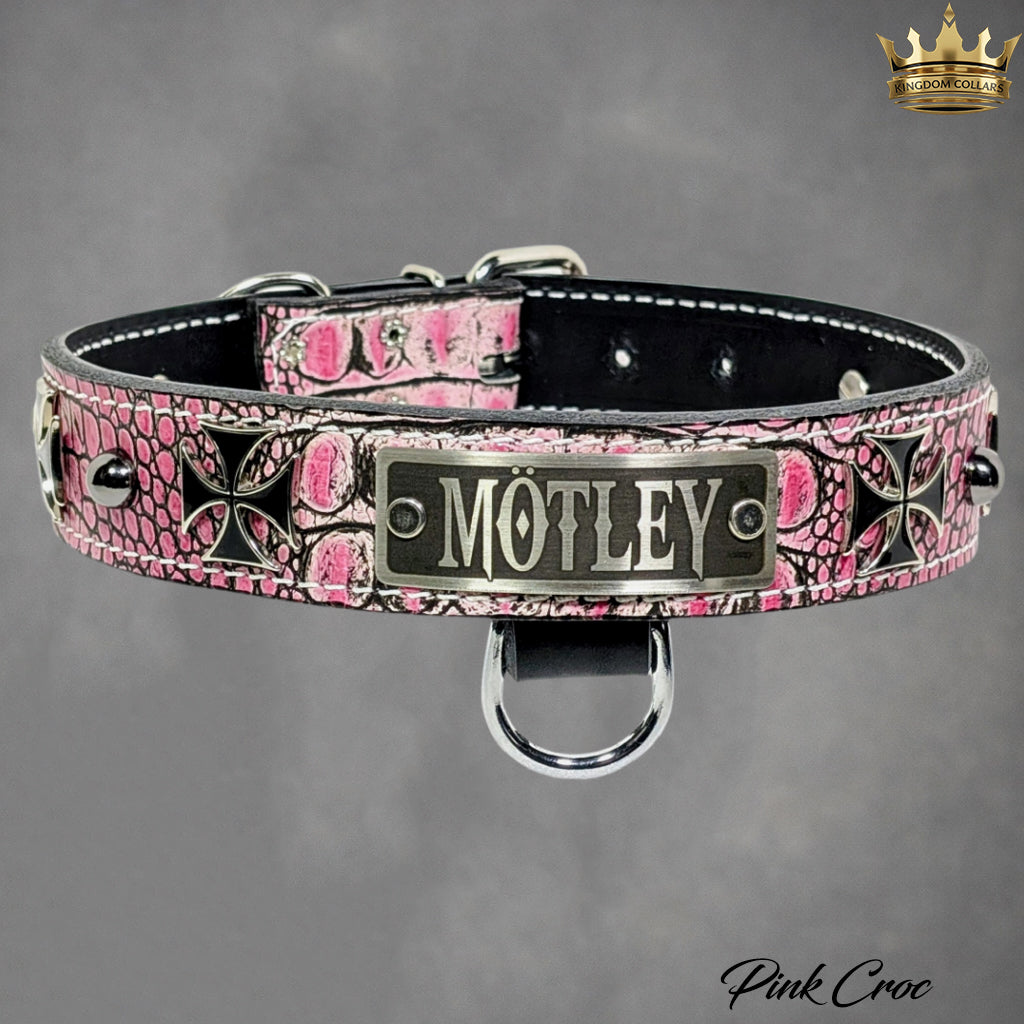 Pink crocodile patterned dog collar with 'MOTLEY' brand nameplate on a gray background