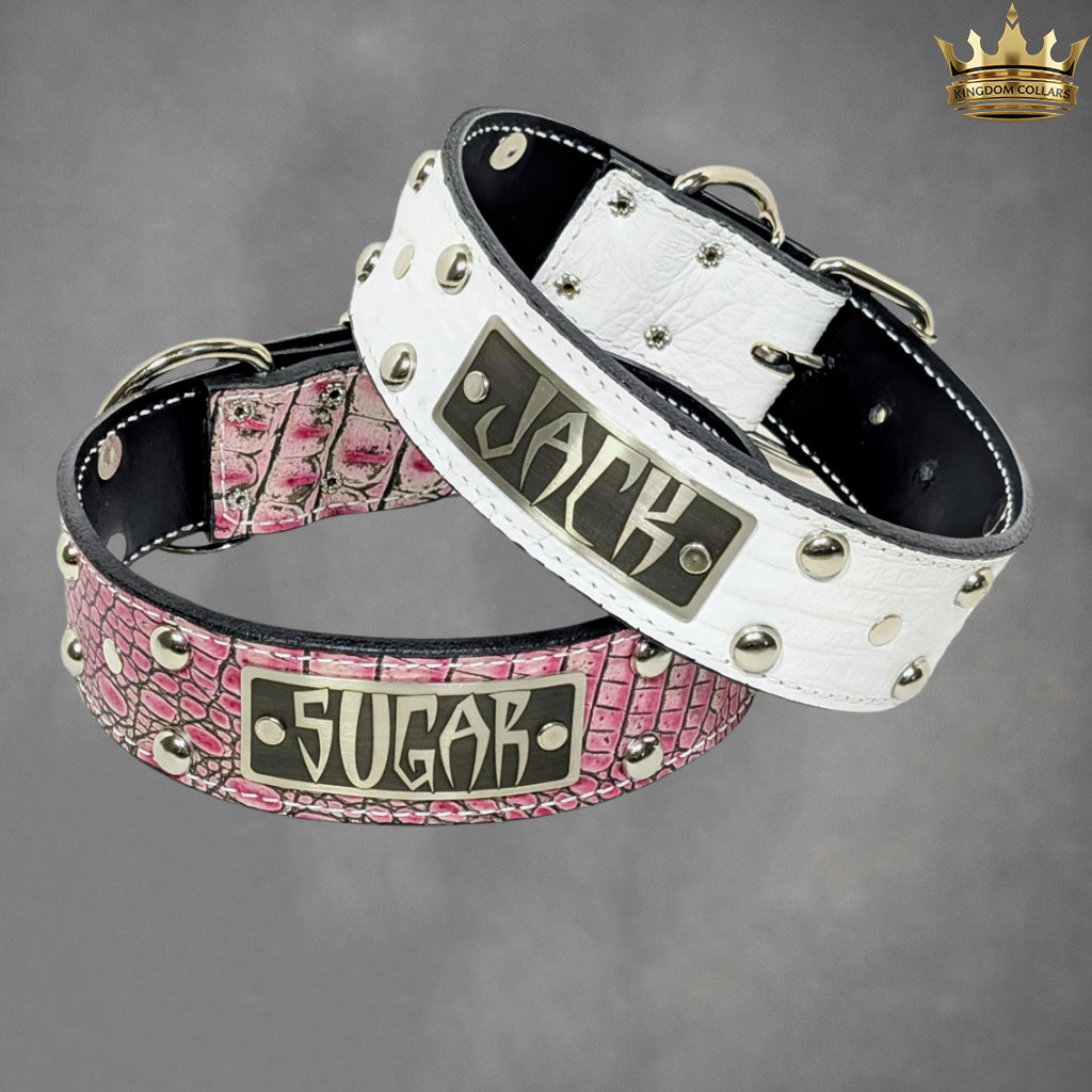 N12 - 2" Wide Personalized Leather Studded Dog Collar