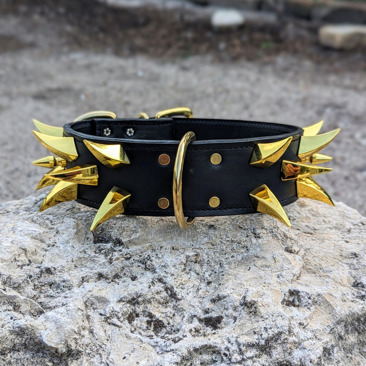 W2 - 2" Wide Spiked Leather Dog Collar