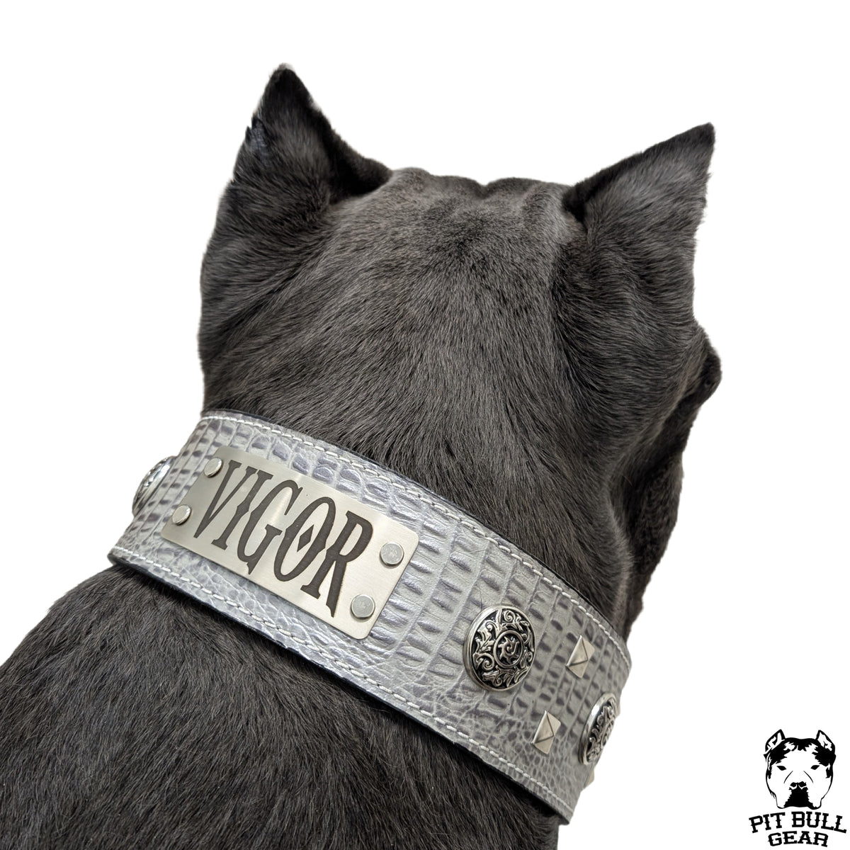 NJ15 - Collar de cuero personalizado Bully &amp; Gems de 2 1/2"
