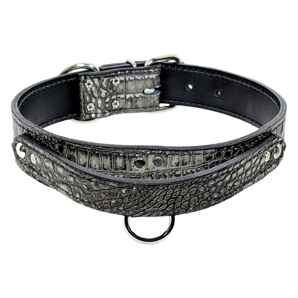 Black leather dog collar with decorative metal band on a white background