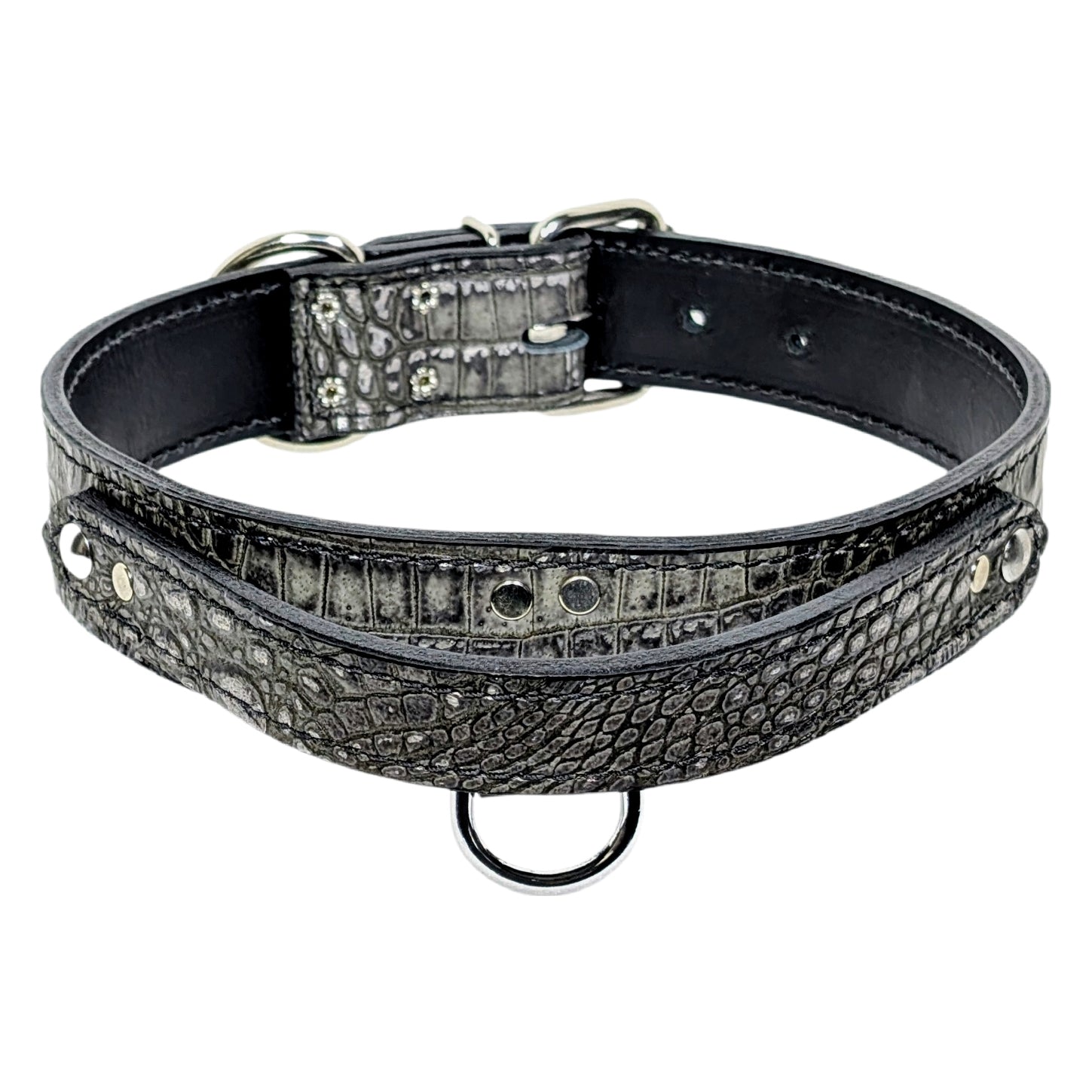 Black leather dog collar with decorative metal band on a white background