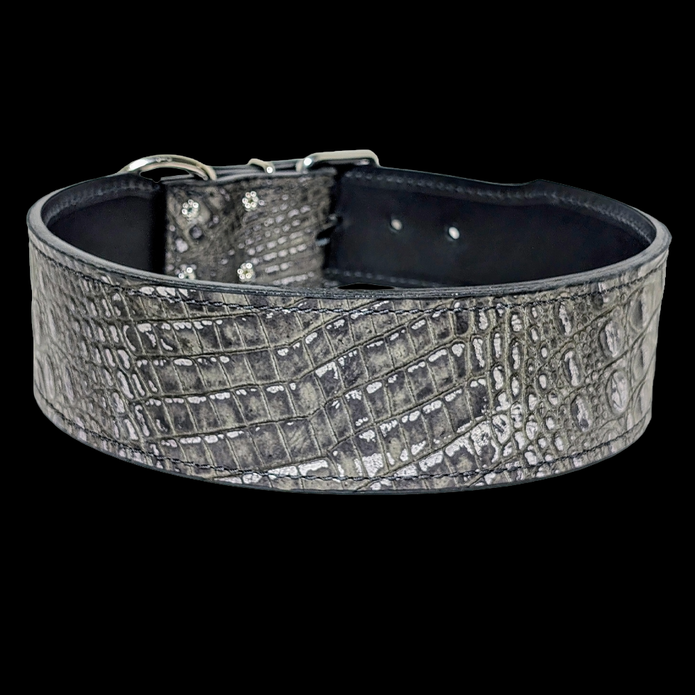 * 2.5&quot; Wide Magic Eclipse Croc Italian Leather Dog Collar 23&quot;-26&quot; Neck – Overstock Special