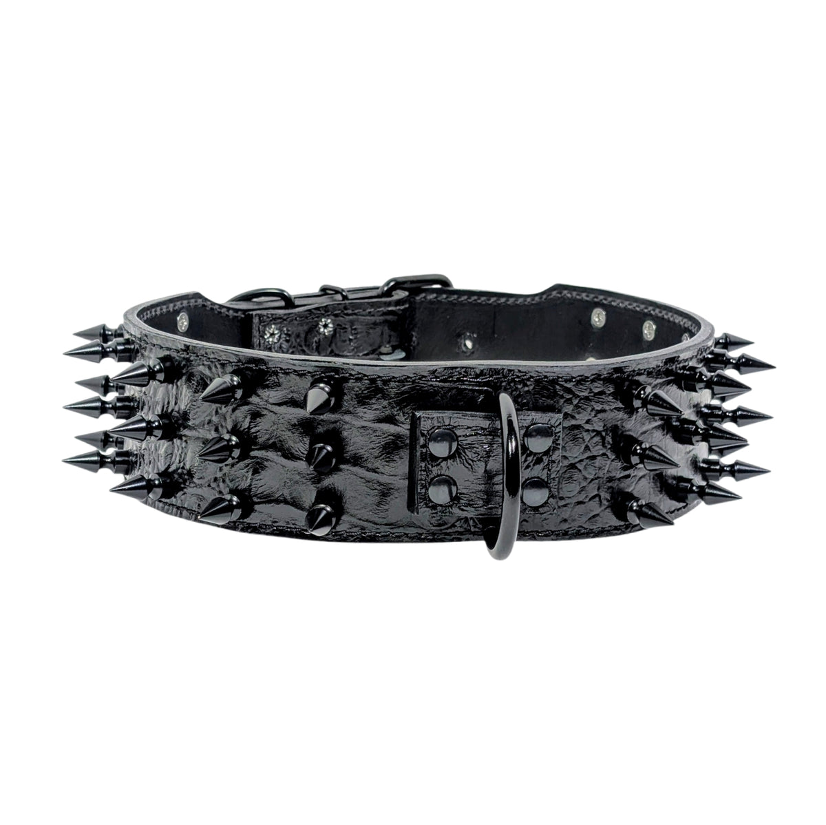 Black leather dog collar with spikes on a white background