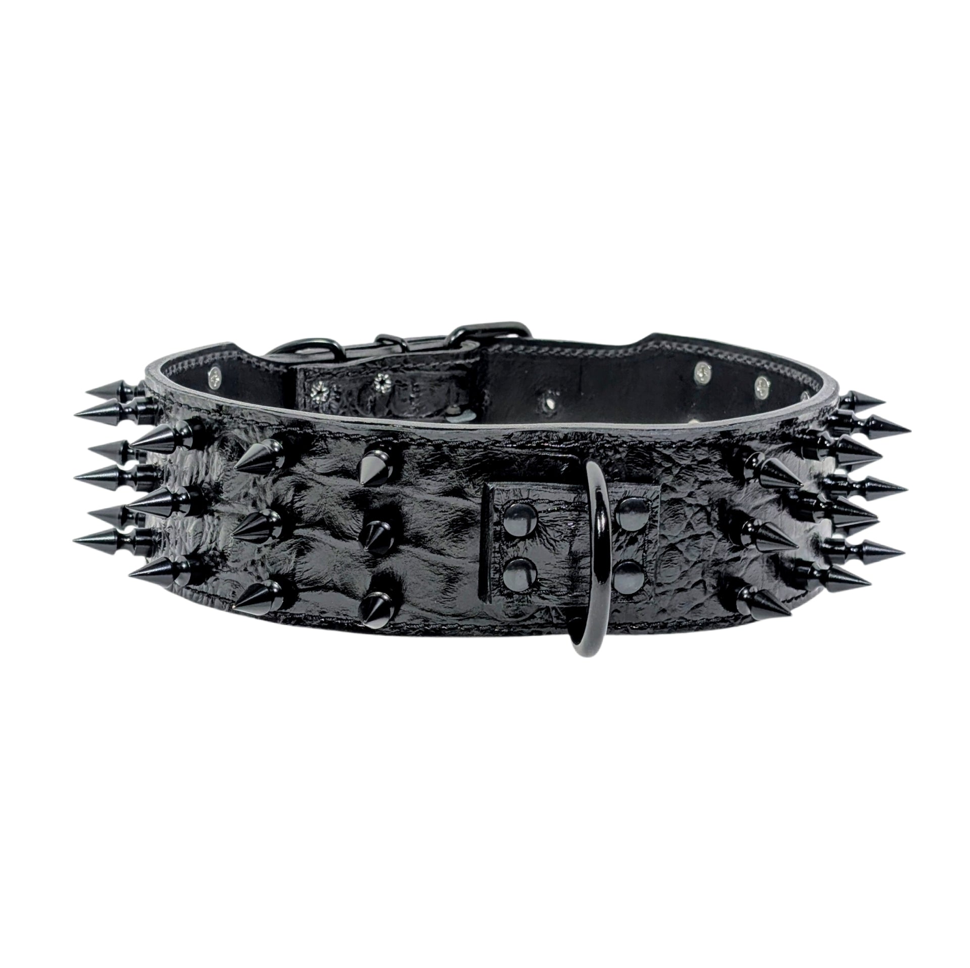 Black leather dog collar with spikes on a white background