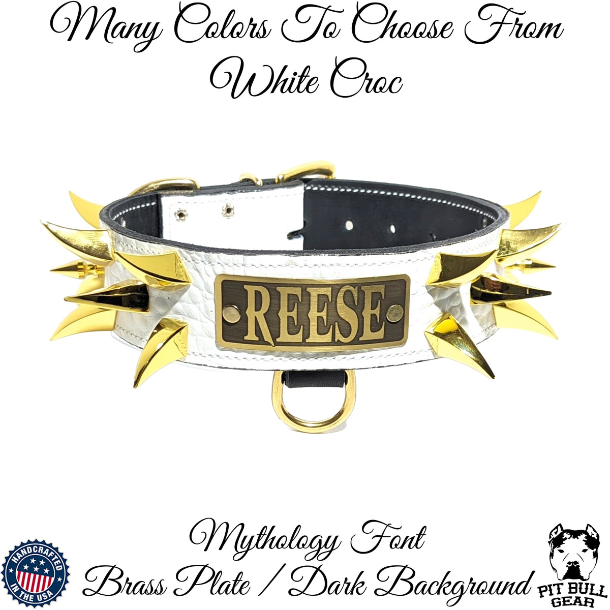 WN2 - 2" Wide Spiked Leather Dog Collar with Name Plate