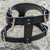 Leather Dog Harness