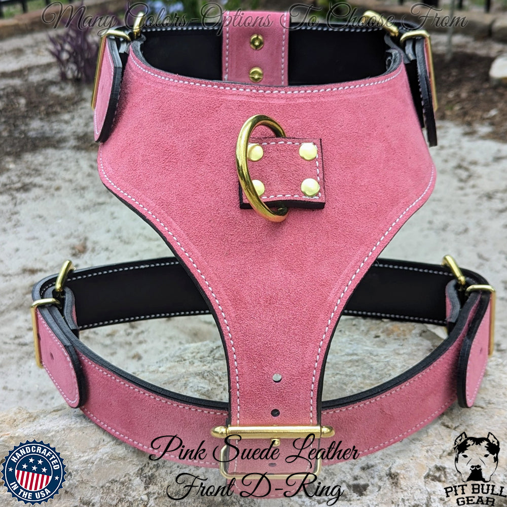 Louis Pup Leather Harness and Leash Set