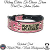 Leather Tapered Dog Collar Name Plate with Studs 2" Wide - N5