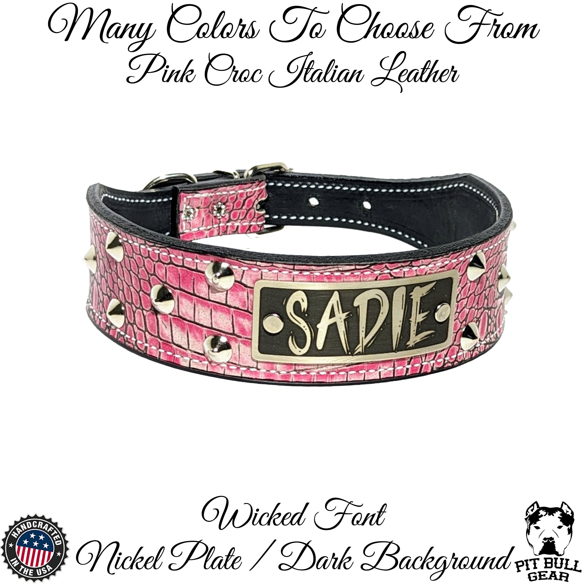 N5 - 2" Wide Tapered Leather Dog Collar Name Plate Studs