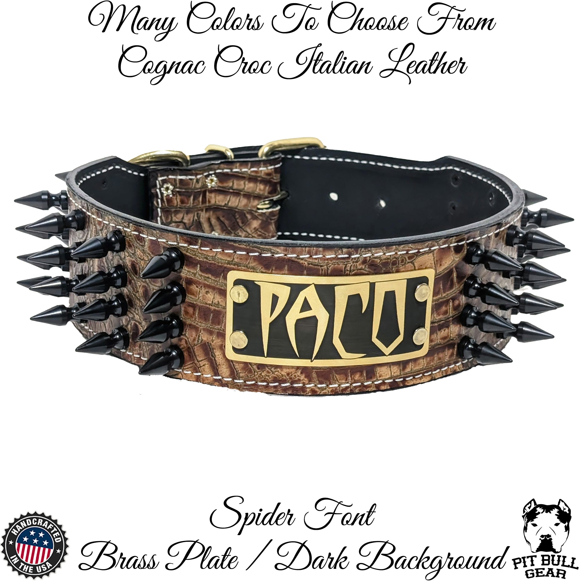NJ10 - 2.5" Wide Spiked Leather Dog Collar with Name Plate