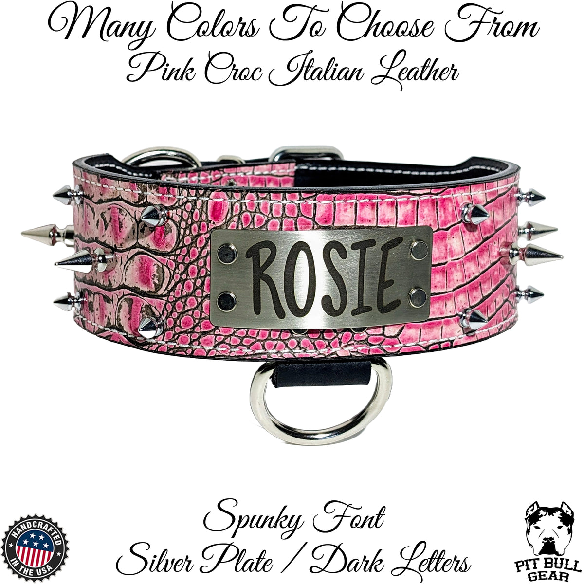 NJ2 - 2 1/2" placa de identificação colar pontiagudo