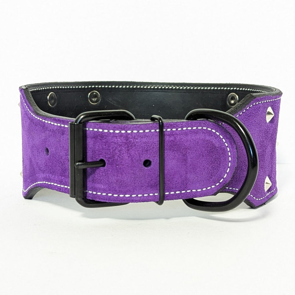 Leather Dog Collar Custom Name Plate Collar with Studs 3