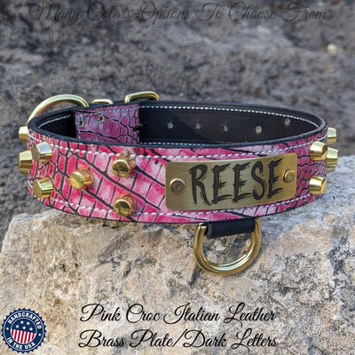 Leather Dog Collar Personalized Name Plate Bucket Studded 1.5" - NV44