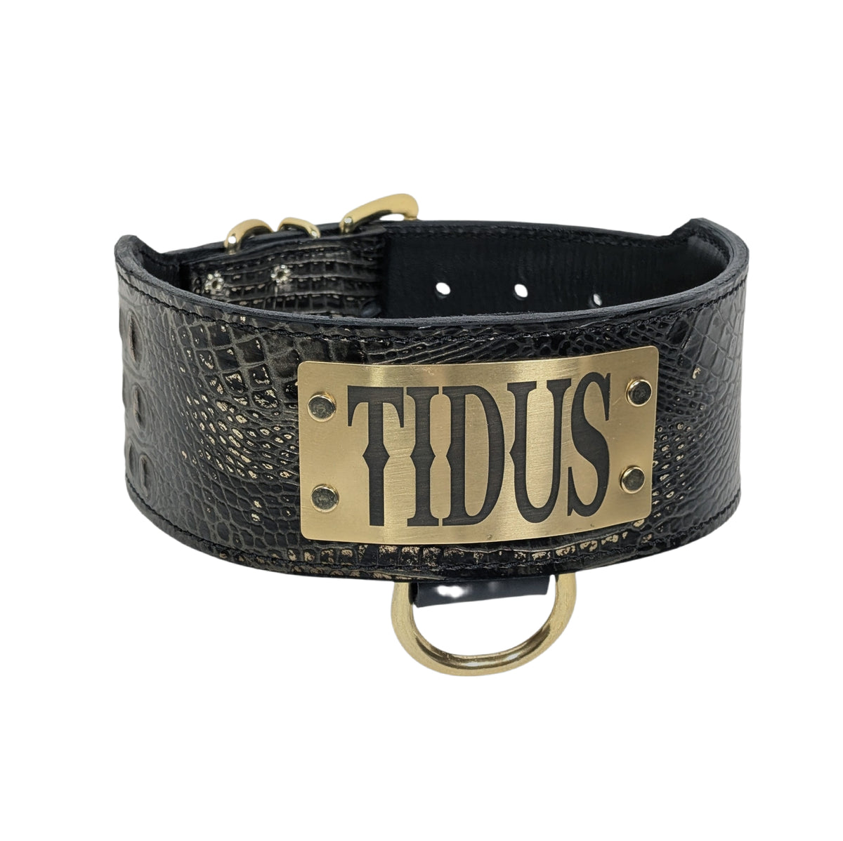 NX5 - 3" Wide Leather Dog Collar with Engraved Name Plate