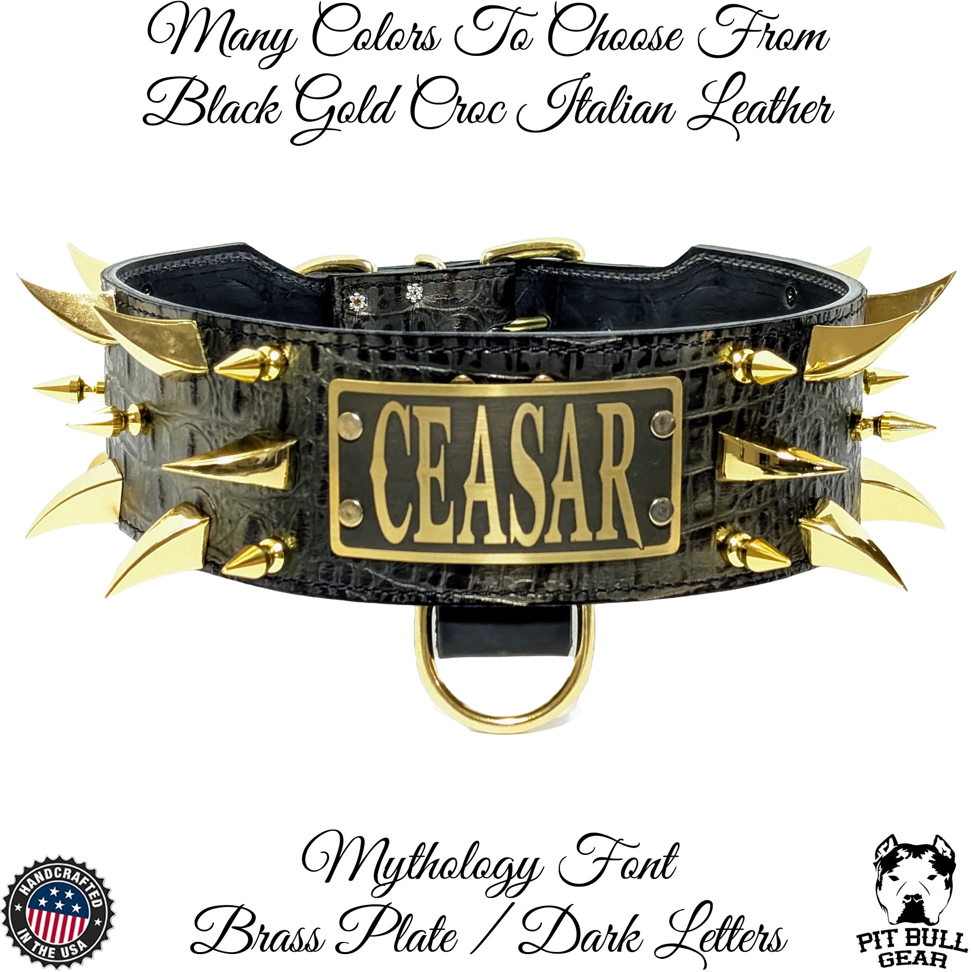 X11 - 3" Wide Spiked Leather Dog Collar with Personalized Name Plate