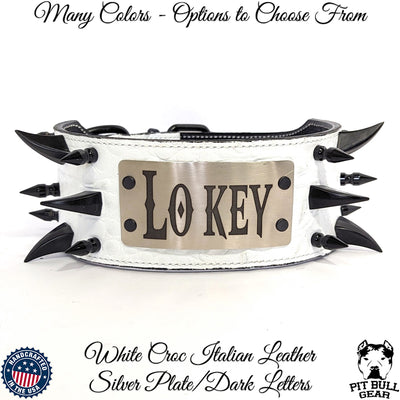 Leather Dog Collar Personalized Name Plate Spiked Heavy Duty 3" Wide - X11
