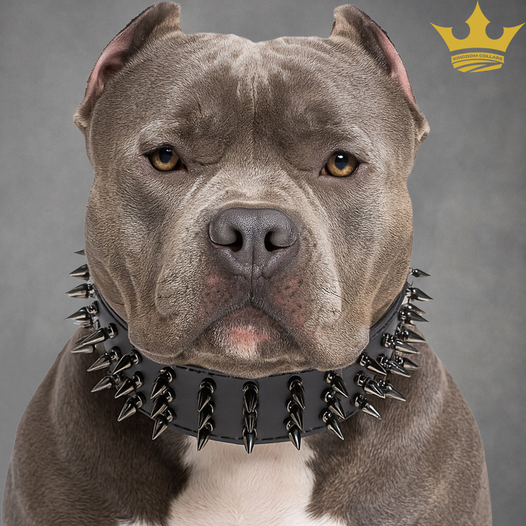 X43 - 3" Wide Spiked Leather Dog Collar