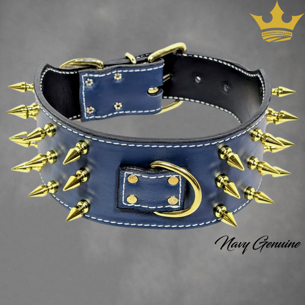 Blue leather collar with gold spikes on a gray background