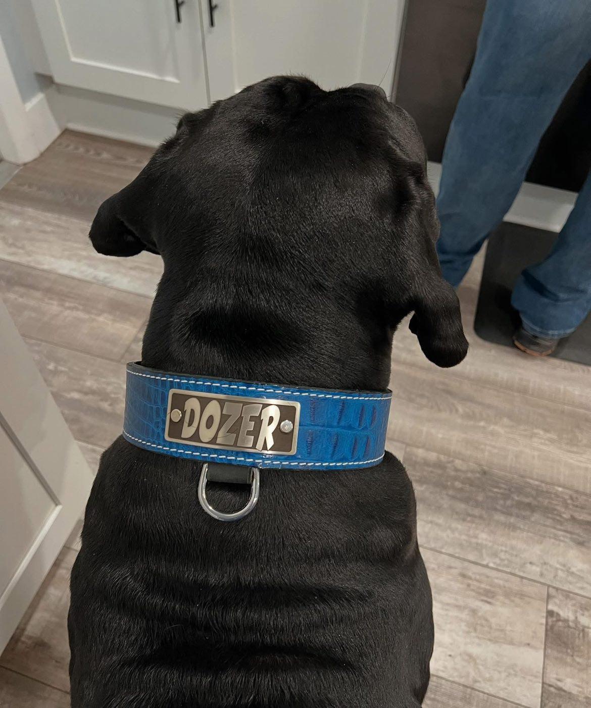 N15 - Coleira de cachorro de couro com placa de nome personalizada de 2"