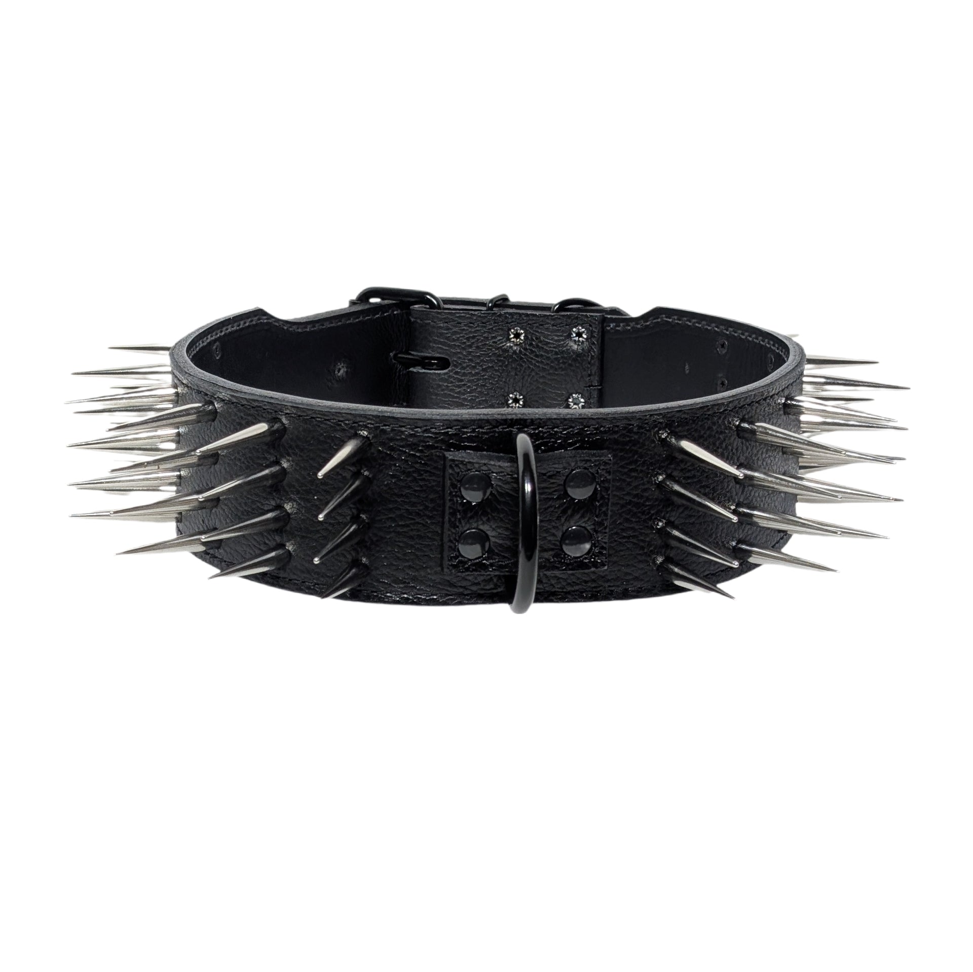X22 - Coleira pontiaguda Bulldog de 3" de largura