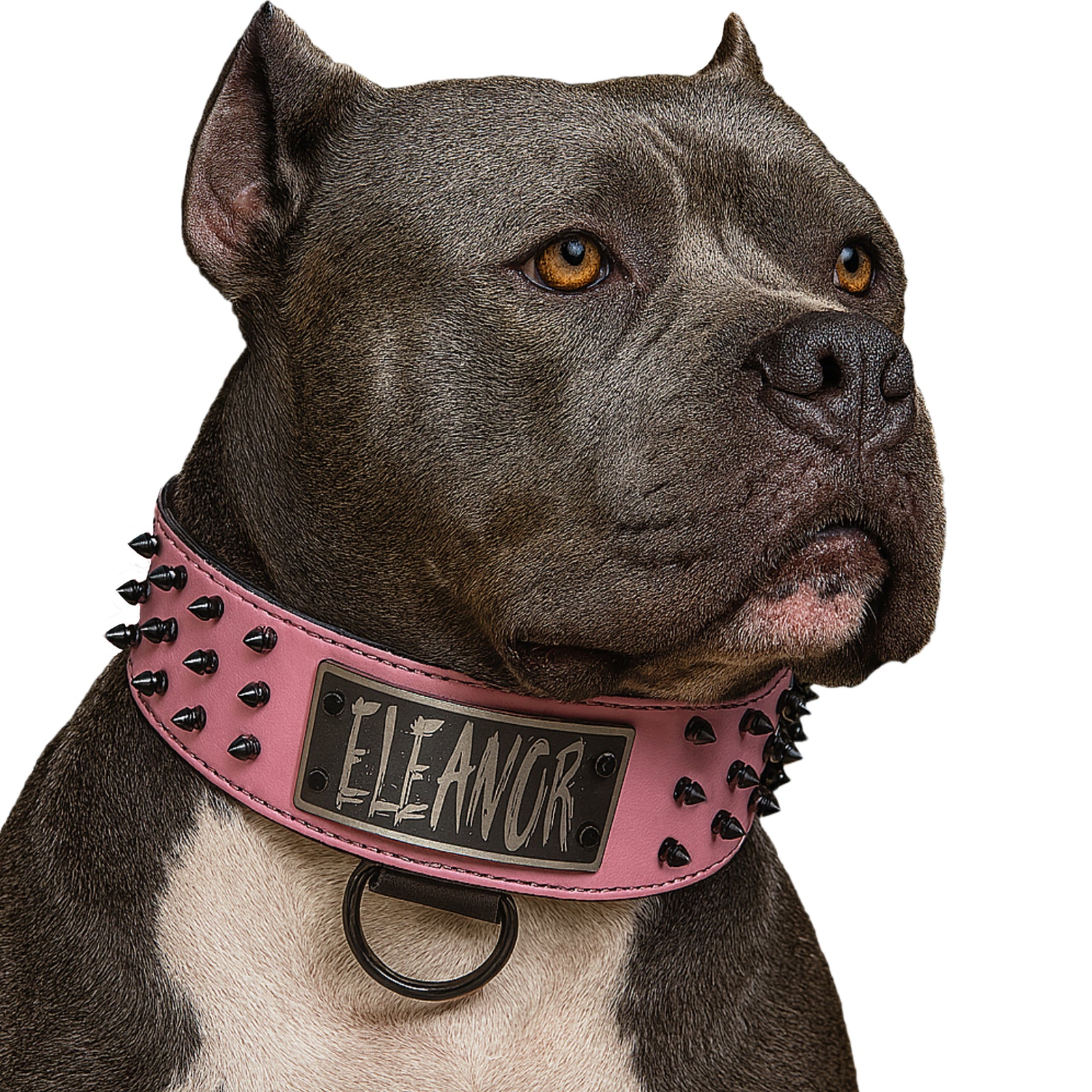 Collar de cuero con pinchos para perros, collar de cuero con placa de identificación de 2,5" de ancho - J8