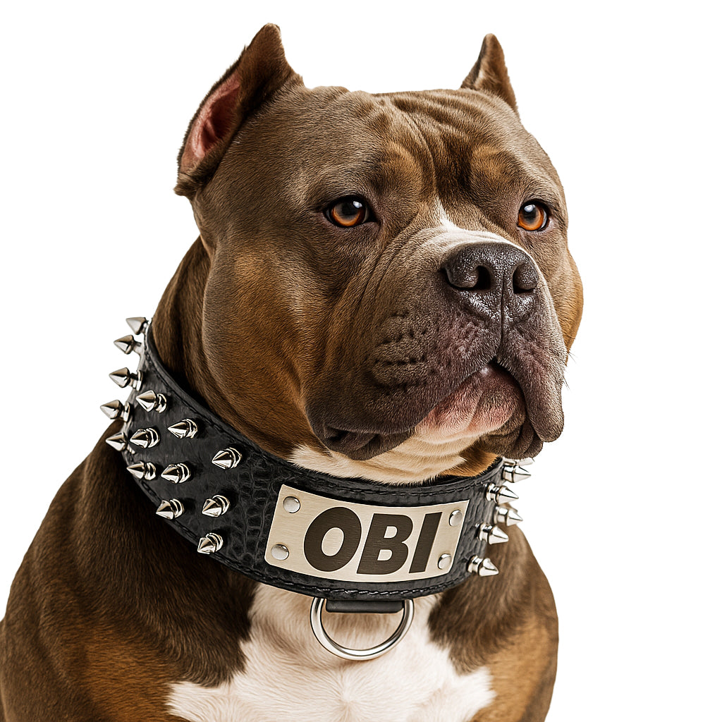 J8 - Personalized 2.5&quot; Wide Personalized Spiked Leather Dog Collar