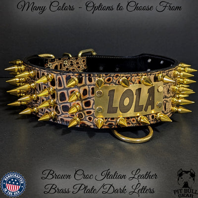 J9 - 2.5" Personalized Spiked Leather Dog Collar