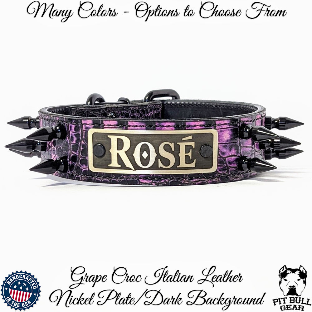 dog collars australia