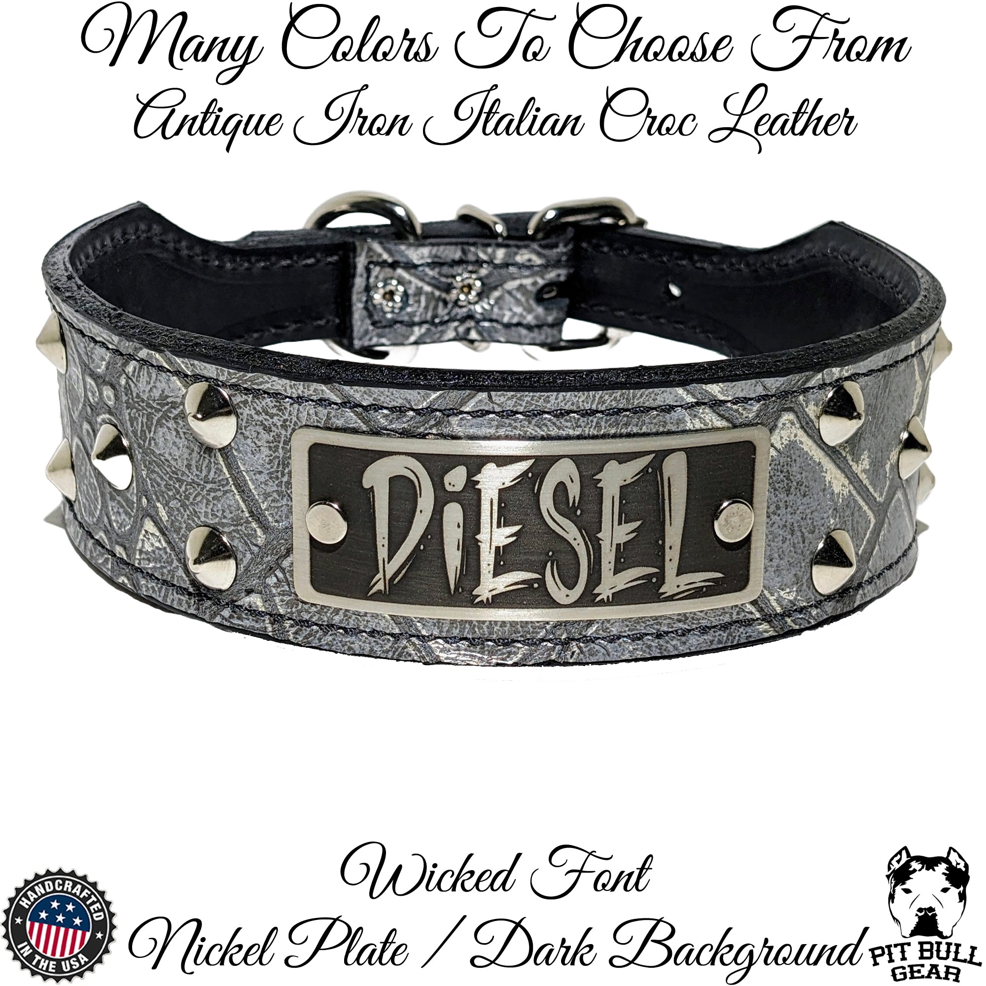 Leather Tapered Dog Collar Name Plate with Studs 2 Wide N5 Pit Bull Gear