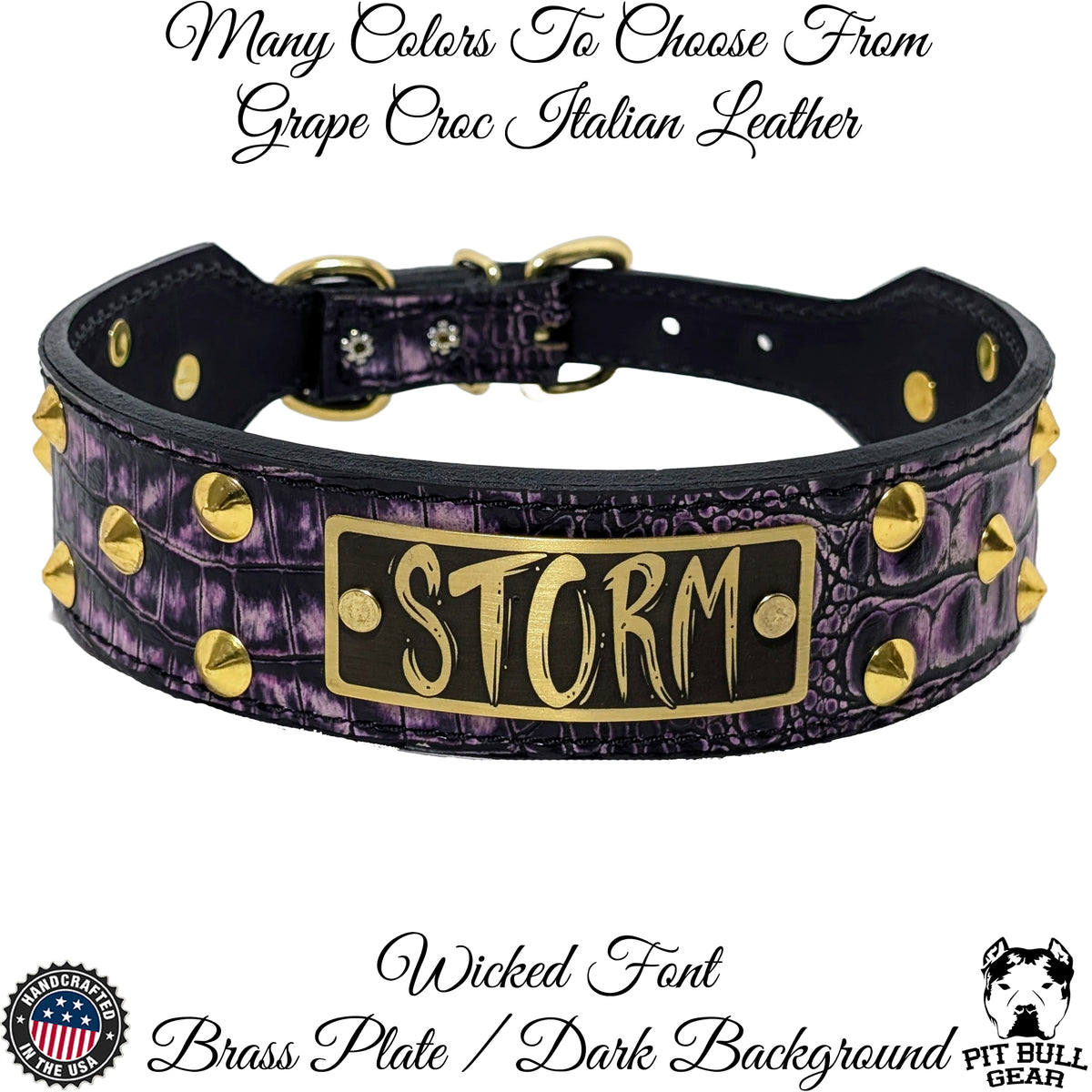 N5 - Tachuelas para placa de identificación de cuero cónico de 2" de ancho para collar de perro