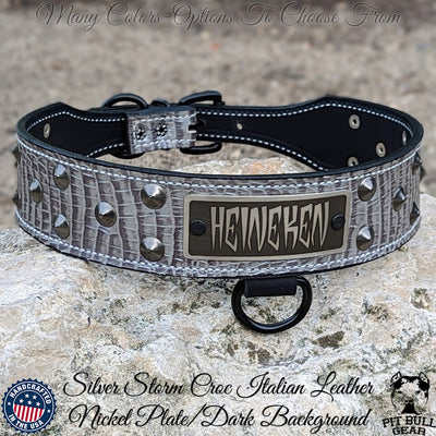 Leather Tapered Dog Collar Name Plate with Studs 2" Wide - N5