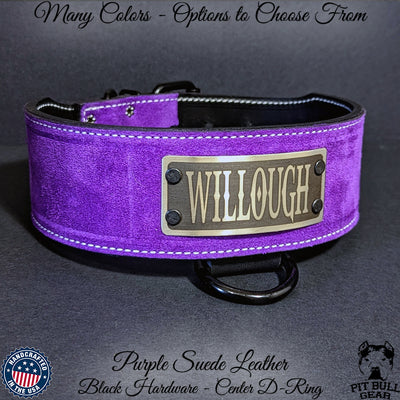 Leather Dog Collar Personalized Custom Name Plate 2 1/2" Wide - NJ11