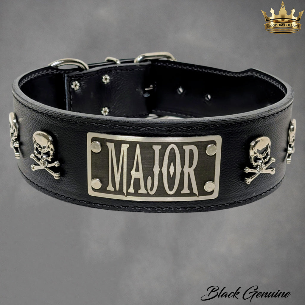 Black leather dog collar with 'MAJOR' plaque and skull designs on a gray background