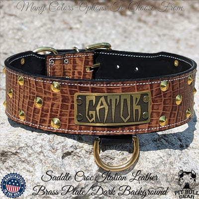 NJ4 - 2.5" Leather Dog Collar with Cone Studs & Name Plate