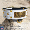 NJ4 - 2 1/2" Name Plate Cone Studded Dog Collar