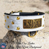 NJ4 - 2.5" Leather Dog Collar with Cone Studs & Name Plate