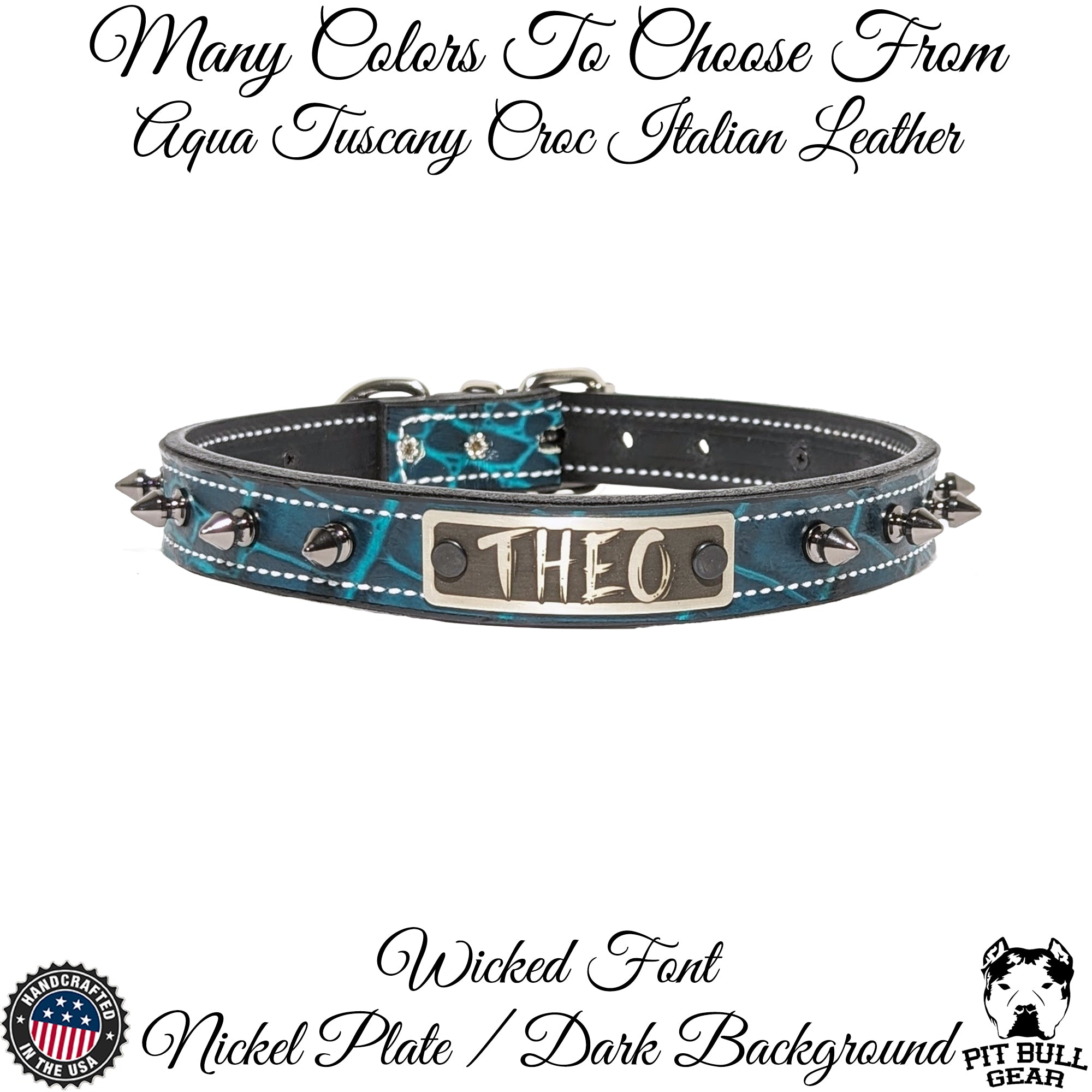 NU19 - 1" Wide Leather Spiked Dog Collar with Name Plate