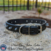 NU19 - 1" Personalized Leather Spiked Collar