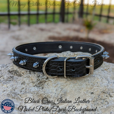 Leather Spiked Dog Collar Personalized Name Collar 1" Wide - NU19