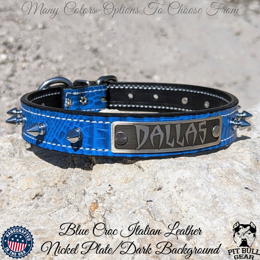NU19 - 1" Wide Leather Spiked Dog Collar with Name Plate