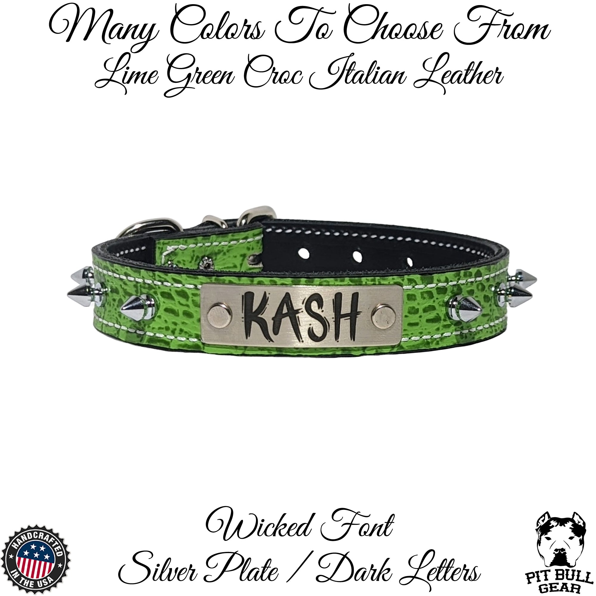 NU19 - 1" Wide Leather Spiked Dog Collar with Name Plate