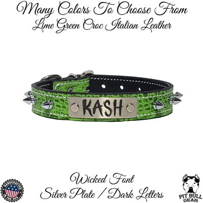 NU19 - 1" Personalized Leather Spiked Collar