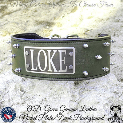 NX1 - Personalized Name Plate Spiked Leather Dog Collar - 3" Wide