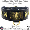NX7 - 3" Wide Leather Personalized Bully Dog Collar