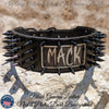 NX8 - 3" Personalized Name Plate Spiked Leather Dog Collar