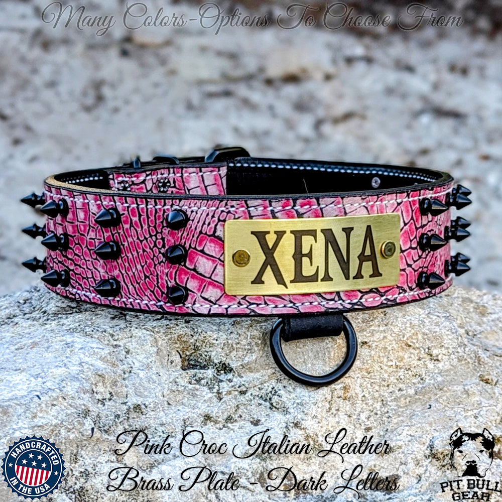 Leather Dog Collar, Personalized Name Plate Studded 2 Wide - N12